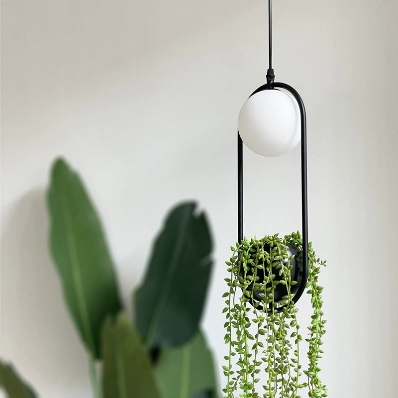 Plantsuppar Oval Ring Plant Pot Pendant Light