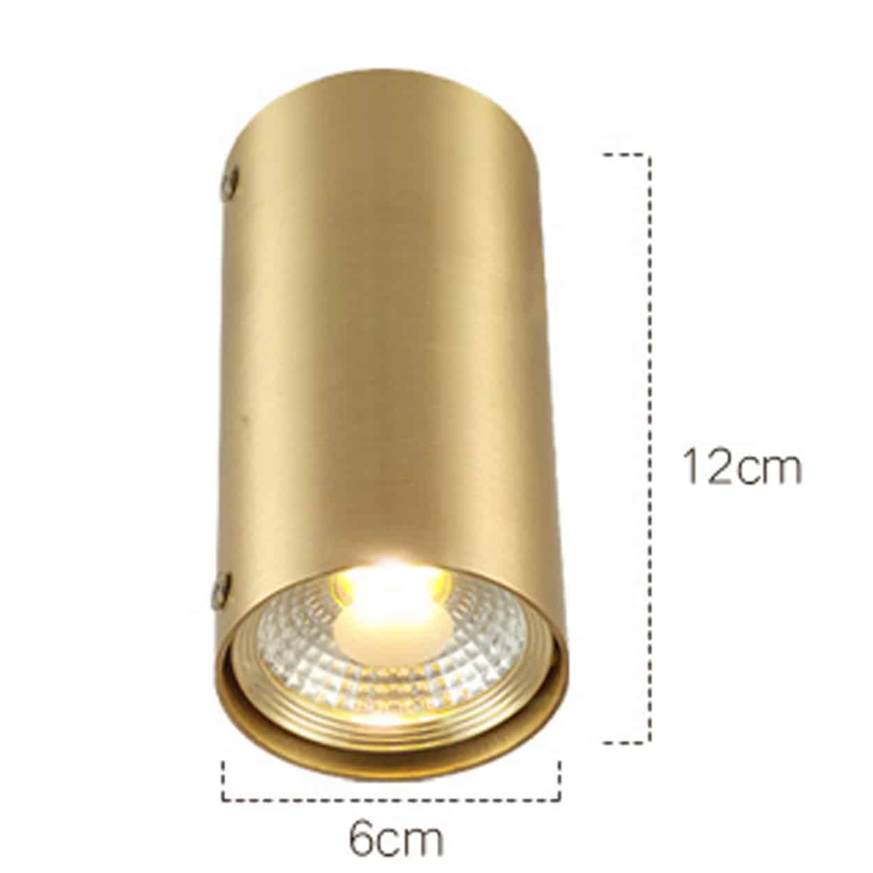 Cabaara Brass Pipe Ceiling Spotlight