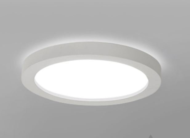 Karoline Black and White Monochrome Palette Shaped Ceiling Light