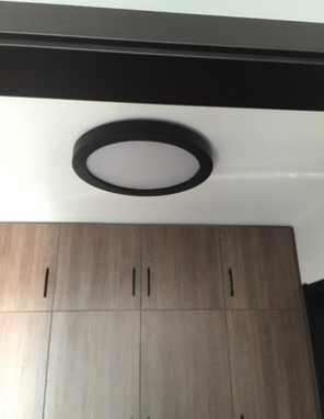 Karoline Black and White Monochrome Palette Shaped Ceiling Light